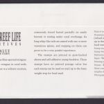 Singapur 2 Briefe Pflanzen Blumen Orchideen und Fische 1994 + 1995