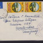Falklandinseln Brief MEF 236 Wappen Destination Montevideo Uruquay 2.11.1975