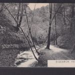 Ansichtskarte Eisenach Annathal Wald Bachlauf Waldweg Thüringen Kunstanstalt