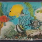 3 D Color Ansichtskarte Fische Aquarium Wasserpflanzen Printing Studio Zürich