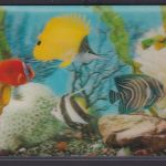 3 D Color Ansichtskarte Fische Meer Meerpflanzen nach Berlin. 08.10.1969