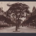 Ansichtskarte Rio De Janeiro Avenida Rio Branco Prachtstrasse Oldtimer