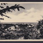 Ansichtskarte Koppenhagen Meer Strand Dänemark 22.07.1953