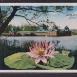 Ansichtskarte Künstlerkarte Heviz Ungarn See Landschaft Seerose nach Wien