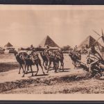 Ansichtskarte Ägypten Beduinen Caravan Pyramide in Giza Kamele