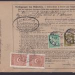 Deutsches Reich Infla Brief inter. Paketkarte nach Constantinopel ab Striegau