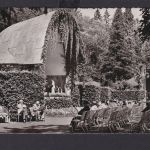 Ansichtskarte Badenweiler Baden Württemberg Kurpark Musik Verlag Emil Hartmann