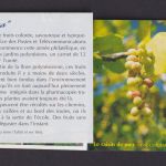 Frankreich Französisch Polynesien Kolonien Markenheftchen 788-799 Früchte Luxus