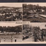 Ansichtskarte Rodewisch Sachsen Freizeit Erholung Park Pflanzen Botanik