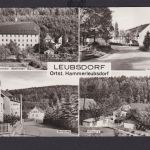 Ansichtskarte Leubsdorf Ortst, Hammerleubsdorf Sachsen Erholung Urlaub