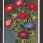 Berlin Deutsches Reich Drittes Reich Karte Anlass SST Reichsmesse in Leipzig