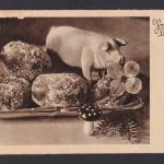 Braunschweig Niedersachsen Deutsches Reich Drittes Reich Ansichtskarte Postsache