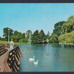 Ansichtskarte Bünde Westfalen Steinmeister Park See Schwäne Brücke