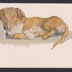 Ansichtskarte Künstlerkarte Sign. Kreidolf Der sinnende Dackel Hunde Tiere