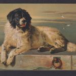 Ansichtskarte Künstlerkarte Hundbild Sir Edwin Landseer Tiere Hunde
