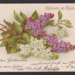 Ansichtskarte Künstlerkarte Sign. Blumenbouquet Flieder Duftkarte Neujahrsgruß