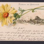 Ansichtskarte Künstlerkarte Blume Landschaft Duftkarte ab Leipzig