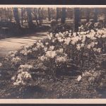 Ansichtskarte Stuttgart Baden Württemberg Reichsgartenschau 1939 n. Klingenthal