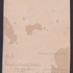 Fotoplatte Kronprinz Friedrich Wilhelm Kindersoldaten Zu Befehl Majestät