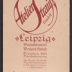 Original Fotoplatte Porträt Junge Dame Foto Atelier Strauß GmbH Leipzig