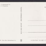 Ansichtskarte Malchin Mecklenburg Vorpommern Steintor Kalensches Tor Rathaus
