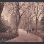 Ansichtskarte Prenzlau Brandenburg Stadtpark 22.09.1924 Deutsches Reich