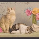 Ansichtskarte Tiere Katzen Schmuckkarte 24.09.1918