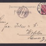 Briefmarken Deutsches Reich Reklame Werbung Vordruck Postkarte c.L. Petersen