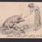 Ansichtskarte Neujahr Schwein Glücksschwein Tiere Künstlerkarte n. Dresden