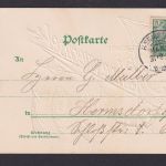 Ansichtskarte Neujahr Schwein Glücksschwein Tiere ab Hermsdorf Thüringen