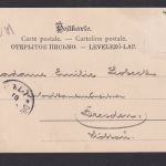 Ansichtskarte Neujahr Schwein Glücksschwein Tiere n. Dresden 1901