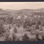 Ansichtskarte Elend Sachsen Anhalt Harz Brocken Gebirge Berg