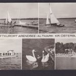 Ansichtskarte Arendsee Sachsen Anhalt Altmark Kreis Osterburg See Boote Schwäne