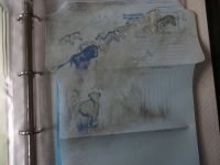 Afrika Südafrika Ganzsachen Spezial Sammlung Aerogramme Festpreis 220,00