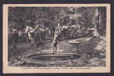 Ansichtskarte Argonenwald Frankreich Lothringen Feldpost Artelleriekolonen