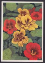 Guhrow über Cottbus Brandenburg DDR Ansichtskarte Landpoststempel MEF n.