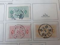 Bund 113 Philatelie 100 J. Briefmarken Luxus postfrisch Kat.-Wert 17,00