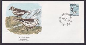 Greenland Grönland Fauna Tiere Vögel Schneeammer schöner Künstler Brief
