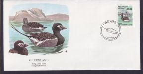 Greenland Grönland Fauna Tiere Spießente schöner Künstler Brief