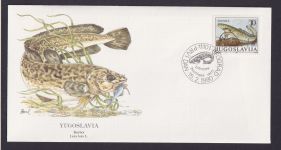 Yugoslavia Jugoslawien Europa Fauna Fische Aalquappe schöner Künstler Brief