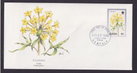 Uganda Ostafrika Flora Pflanzen Gnidia schöner Künstler Brief