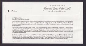 United Nations Flora Pflanzen Fieberrindenbaum schöner Künstler Brief
