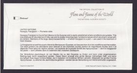 United Nations Flora Pflanzen SträußchenJasminbaum schöner Künstler Brief