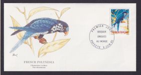Französisch Polynesien French Polynesia Südpacific Fauna Vogel Gekröte Taucher