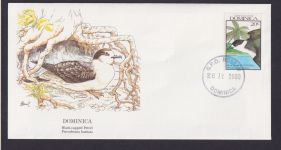 Dominica Karibik Fauna Schwatzhaubiger Sturmvogel schöner KünstlerBrief