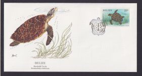 Belize Mittelamerika Fauna Tiere Karettschildkröte schöner KünstlerBrief
