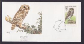 Poland Polen Fauna Tiere Vögel Käuzchen schöner Künstler Brief
