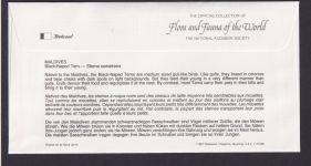 Malediven Südasien Fauna Vögel Seeschwalben schöner Künstler Brief