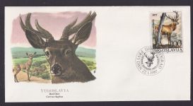 Yugoslavia Jugoslawien Fauna Rotwild schöner Künstler Brief