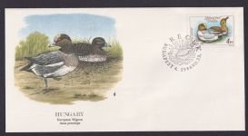 Hungary Ungarn Fauna Vögel Europäische Pfeifenente schöner Künstler Brief